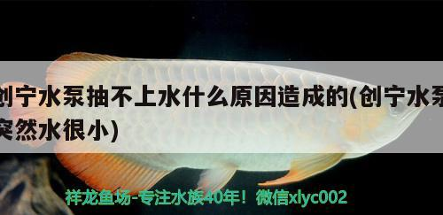 創寧水泵抽不上水什么原因造成的(創寧水泵突然水很小)