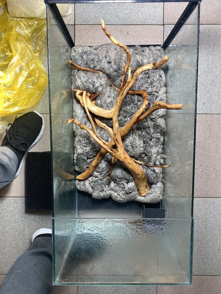 開缸記錄 開缸記錄 龍魚論壇 第4張