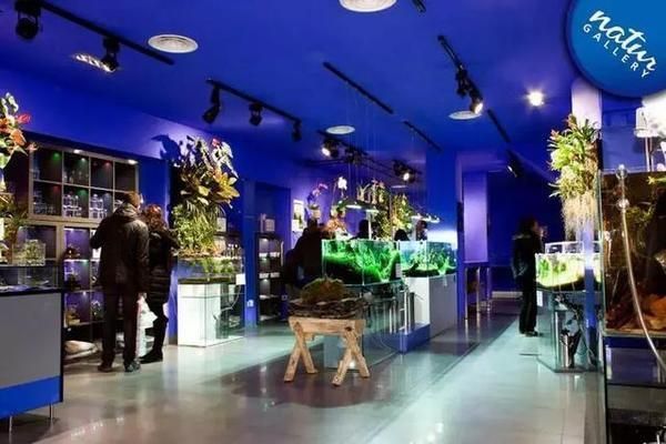水族館加盟店排行前十名有哪些品牌的（亮點水族品牌發展歷程,） 水族館加盟店排行前十名有哪些品牌的（亮點水族品牌發展歷程,） 水族館百科（水族館加盟） 第1張