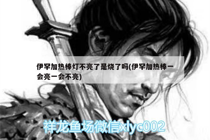 伊罕加熱棒燈不亮了是燒了嗎(伊罕加熱棒一會(huì)亮一會(huì)不亮)
