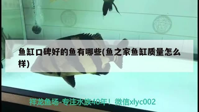 二手水族魚缸轉讓 二手水族魚缸轉讓 二手水族魚缸轉讓 二手水族魚缸轉讓 赤元素