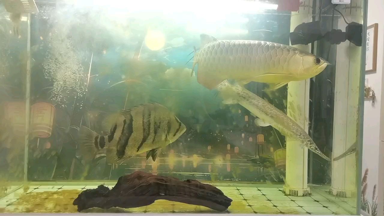 新的開始
