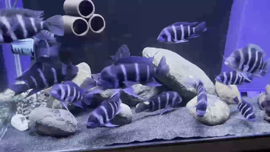 親進一步