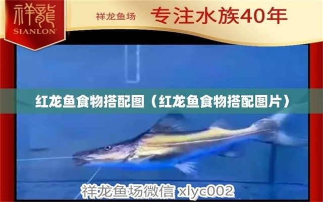 伊罕過濾桶怎么拆卸清洗（伊罕過濾桶怎么拆卸清洗的）