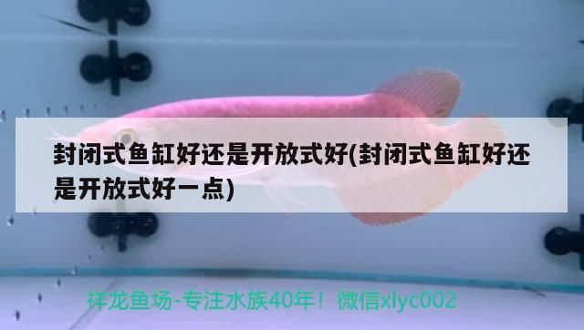 魚缸用增氧泵價格是多少:魚缸增氧機-xtrac增氧機-xtrac增氧機 封閉式魚缸好還是開放式好(封閉式魚缸好還是開放式好一點) 元寶鳳凰魚百科 封閉式魚缸好還是開放式好(封閉式魚缸好還是開放式好一點) 封閉式魚缸好還是開放式好(封閉式魚缸好還是開放式好一點) 元寶鳳凰魚百科