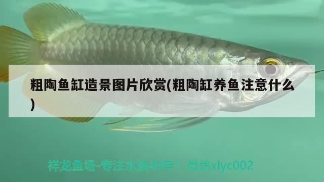 粗陶魚缸造景圖片欣賞(粗陶缸養魚注意什么)