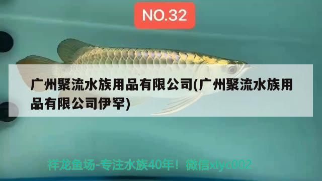 廣州聚流水族用品有限公司(廣州聚流水族用品有限公司伊罕)