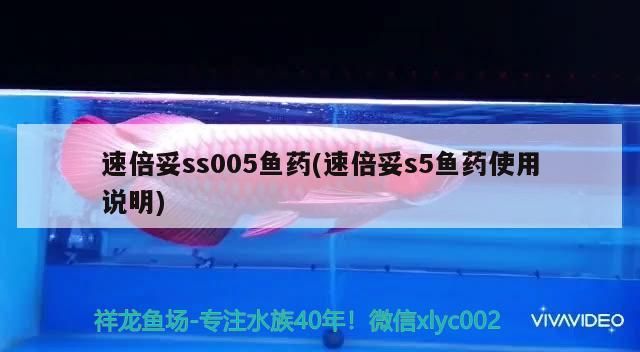 鸚鵡魚和銀龍魚混養怎樣喂食 速倍妥ss005魚藥(速倍妥s5魚藥使用說明) 速倍妥 速倍妥ss005魚藥(速倍妥s5魚藥使用說明) 速倍妥ss005魚藥(速倍妥s5魚藥使用說明) 速倍妥