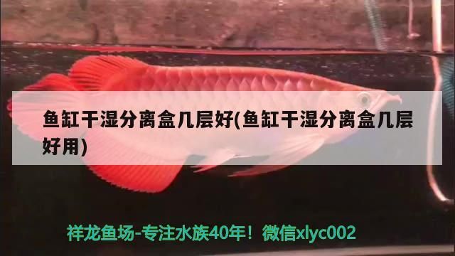 魚缸干濕分離盒幾層好(魚缸干濕分離盒幾層好用)