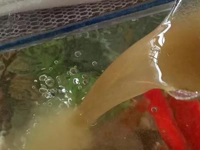 伊罕加熱棒生產日期怎么看(伊罕加熱棒溫控在哪里)
