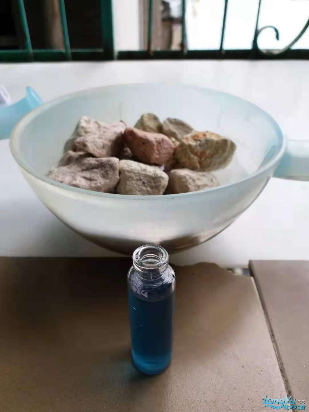 彩蝶魚缸溢流倉內(nèi)可以放濾材嘛視頻（彩蝶魚缸溢流倉內(nèi)可以放濾材嘛視頻教程）