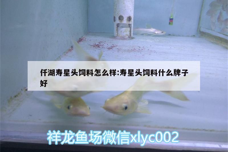 仟湖壽星頭飼料怎么樣:壽星頭飼料什么牌子好 仟湖壽星頭飼料怎么樣:壽星頭飼料什么牌子好 仟湖