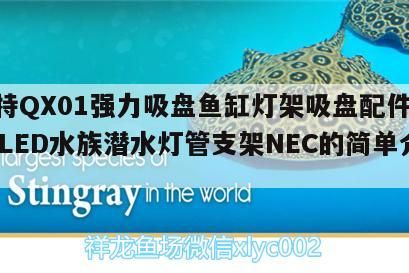 博特QX01強力吸盤魚缸燈架吸盤配件T8T5LED水族潛水燈管支架NEC的簡單介紹