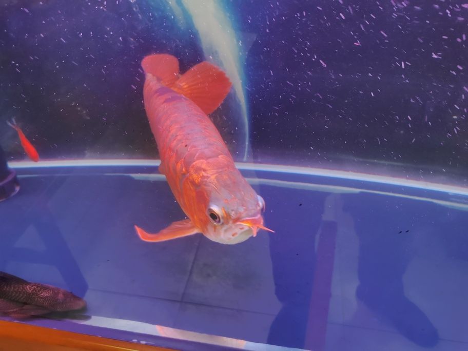 換換換