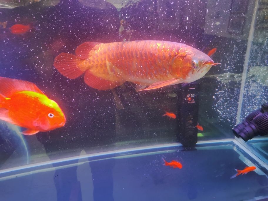 換換換