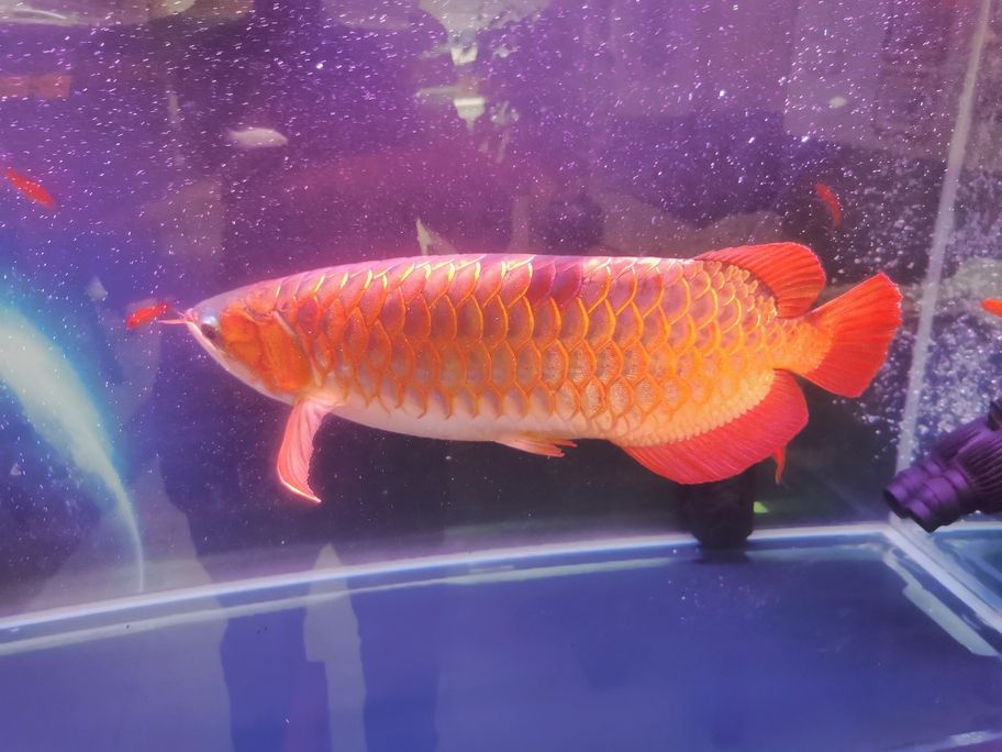 換換換
