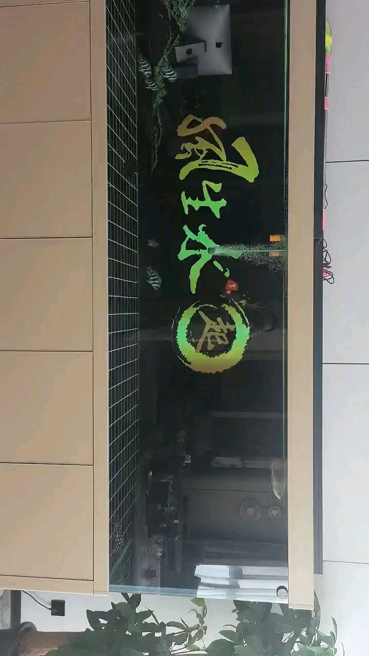 龍魚拒食 龍魚拒食 龍魚論壇