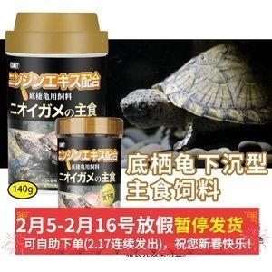 豬鼻龜?shù)澳睦镉匈u的：豬鼻龜哪里能買