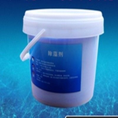 有沒有冷水龍魚苗買的：探尋冷水龍魚苗的購買之道