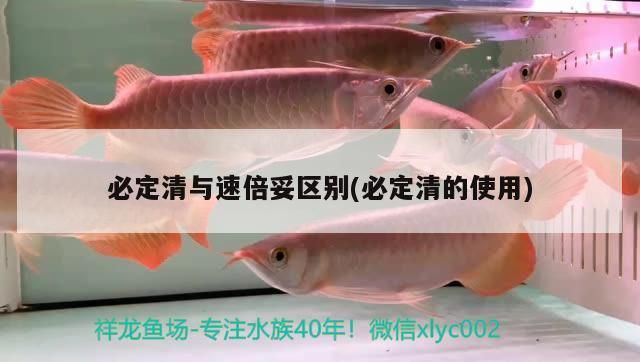必定清與速倍妥區別(必定清的使用) 速倍妥 第4張 必定清與速倍妥區別(必定清的使用) 必定清與速倍妥區別(必定清的使用) 速倍妥 第4張