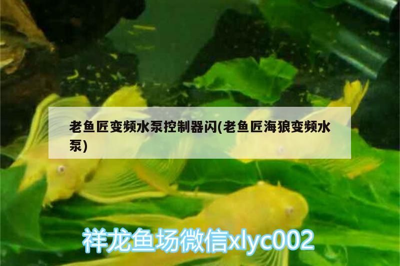 老魚匠變頻水泵控制器閃(老魚匠海狼變頻水泵)