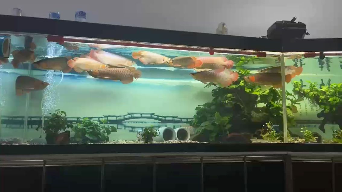 收拾一下又好看一點