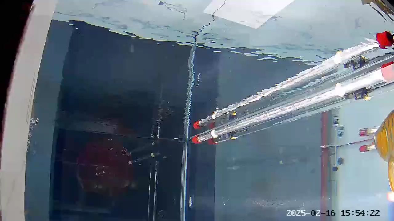 魚缸造景先放沙還是先放水(魚缸造景先鋪沙還是先放石頭) 好久沒更新了 龍魚論壇 好久沒更新了 好久沒更新了 龍魚論壇