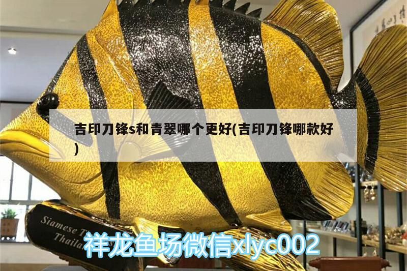 吉印刀鋒s和青翠哪個更好(吉印刀鋒哪款好)