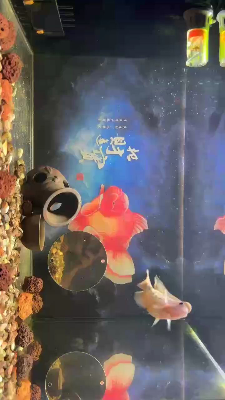 沒顏色怎么辦