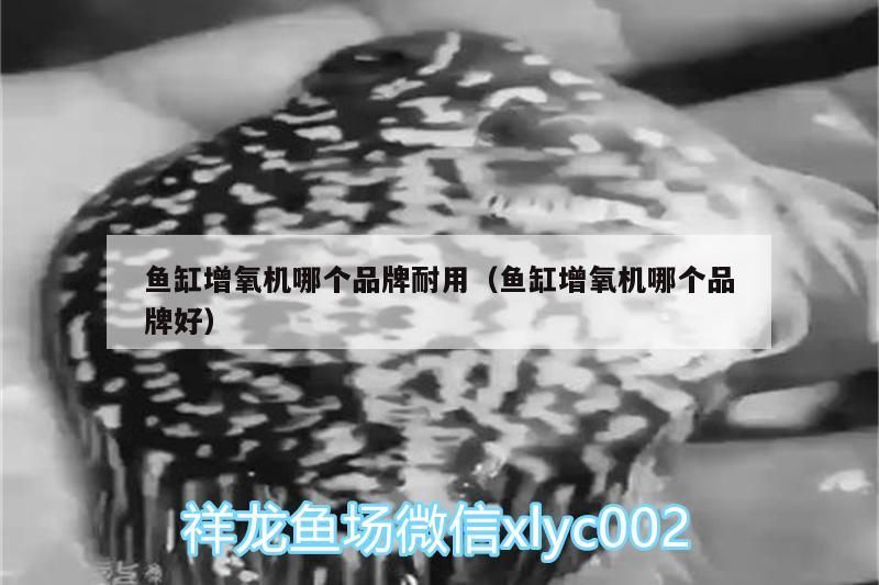 魚缸增氧機(jī)哪個(gè)品牌耐用（魚缸增氧機(jī)哪個(gè)品牌好）