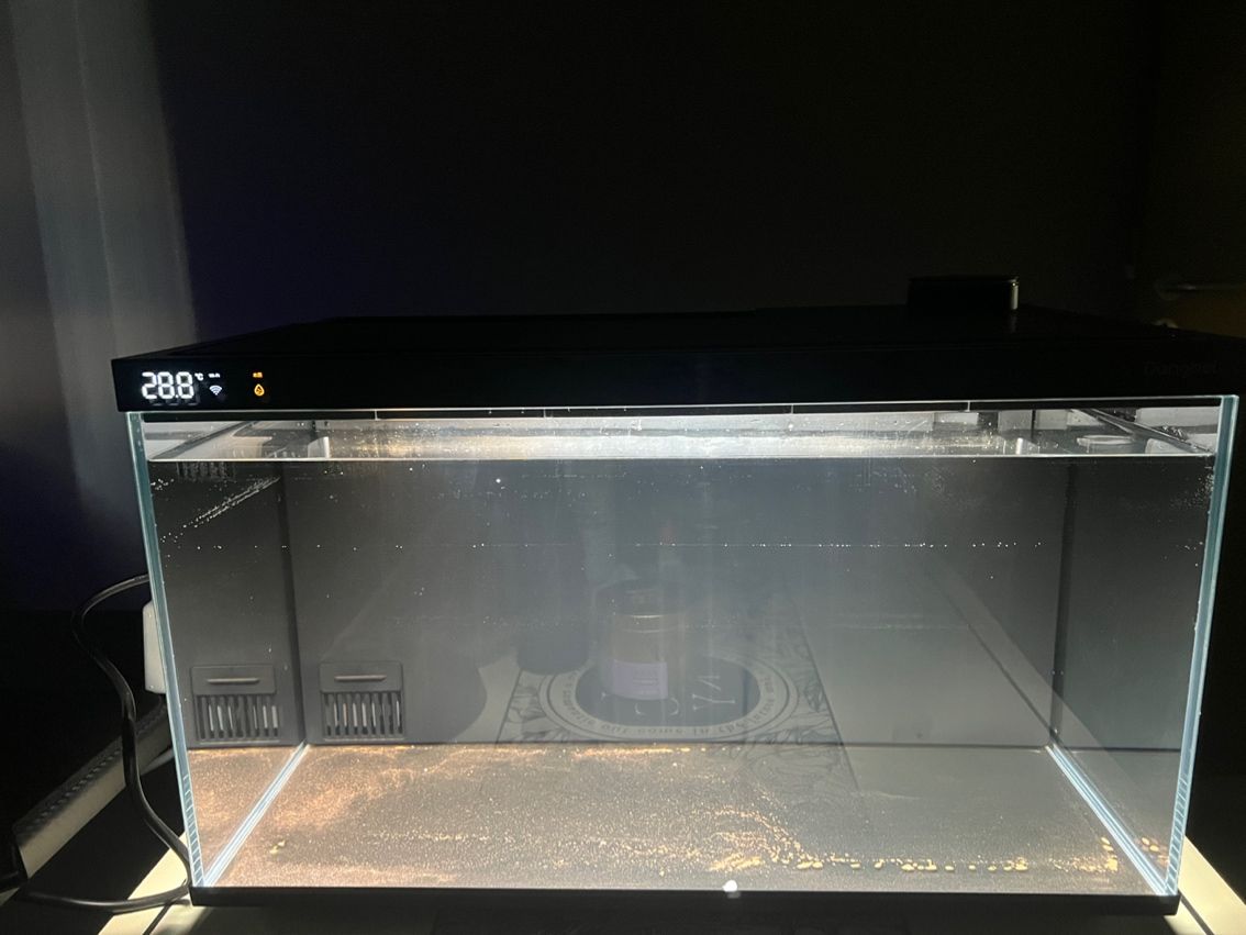 合作龍魚水族店(龍魚之家水族館)