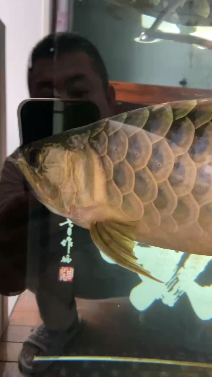 含卵 第四天 卵已經由開始的黃色變成橘黃色了