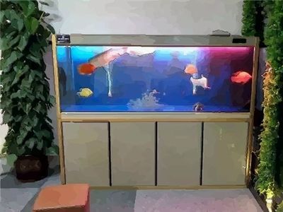 2020年魚缸最佳位置:魚缸出水口的最佳位置應該放在哪個位置 魚缸百科 第1張 2020年魚缸最佳位置:魚缸出水口的最佳位置應該放在哪個位置 2020年魚缸最佳位置:魚缸出水口的最佳位置應該放在哪個位置 魚缸百科 第1張