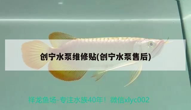 創寧水泵維修貼(創寧水泵售后) 創寧水泵維修貼(創寧水泵售后) 創寧水族