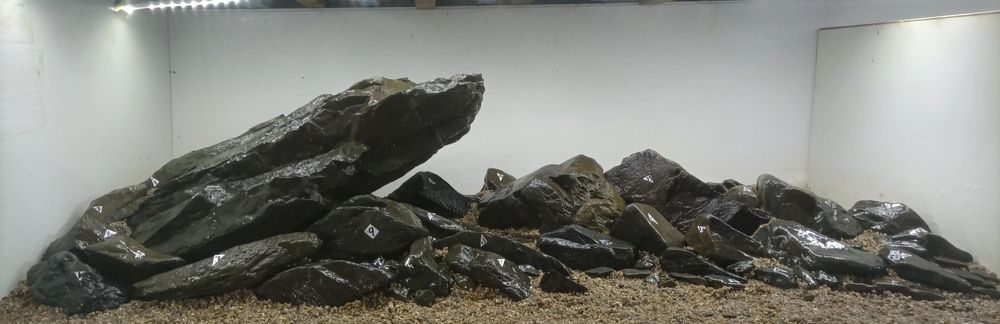 免費造景，滿意發貨。 石頭4元一斤包郵。