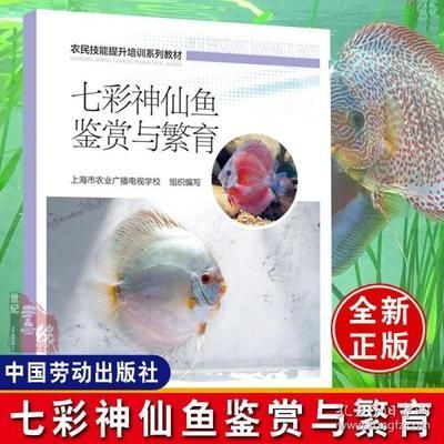 60魚缸可以養幾條七彩神仙魚：60厘米的魚缸適合養多少條七彩神仙魚