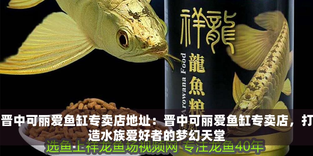 晉中可麗愛魚缸專賣店地址：晉中可麗愛魚缸專賣店，打造水族愛好者的夢幻天堂