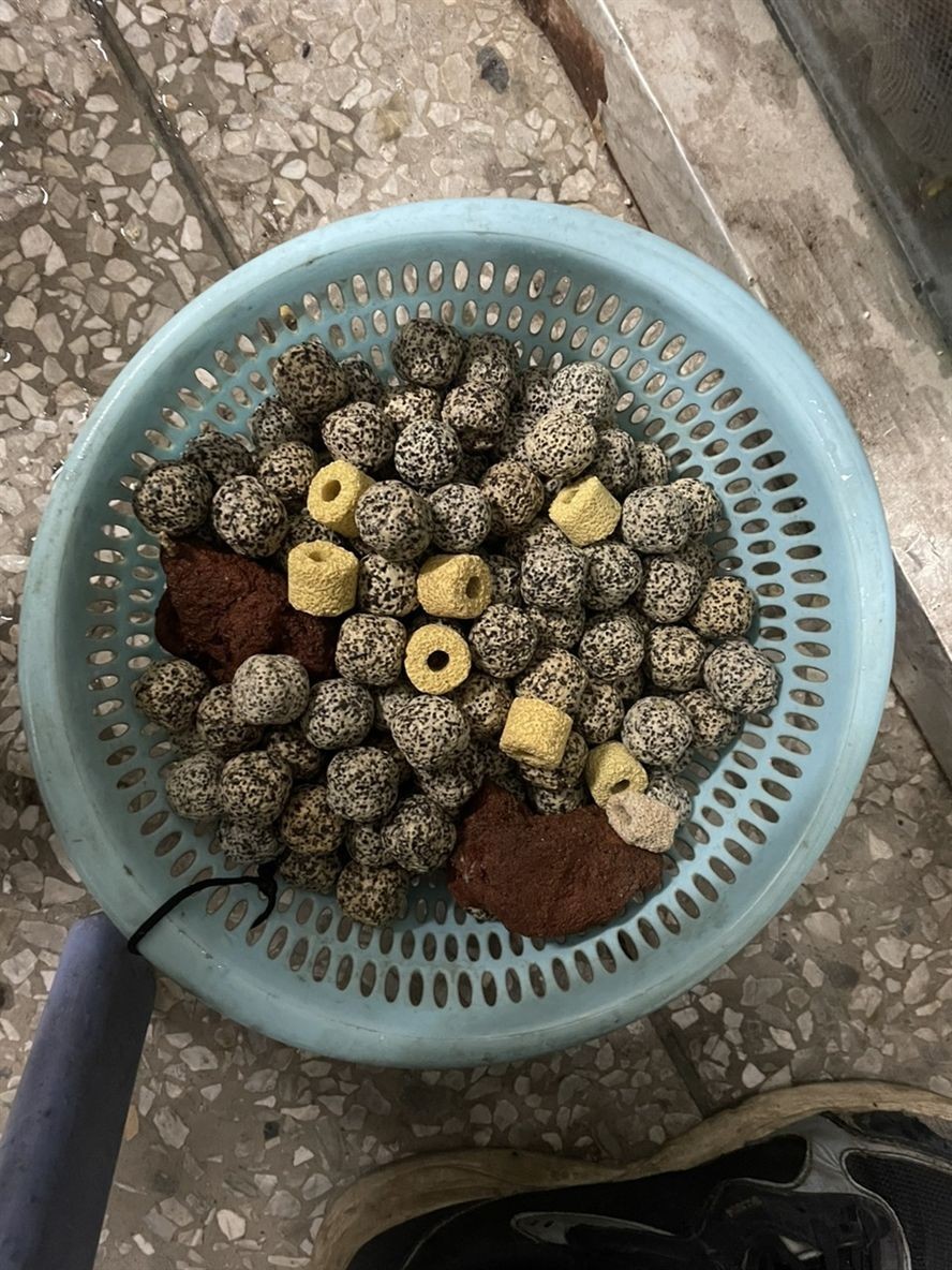 細菌屋！！