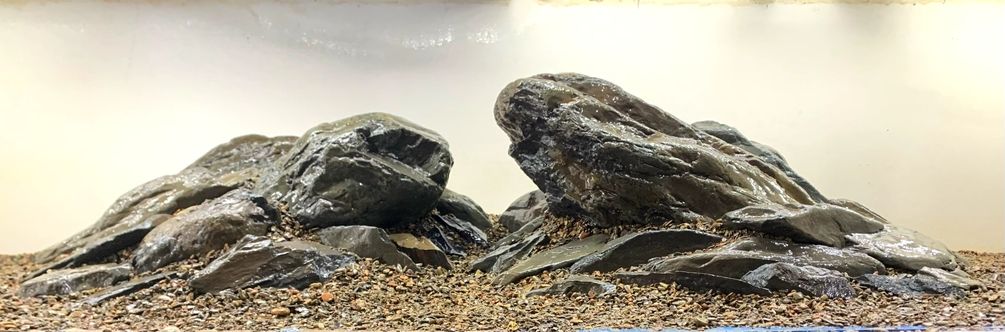 免費(fèi)造景，滿意后發(fā)貨。