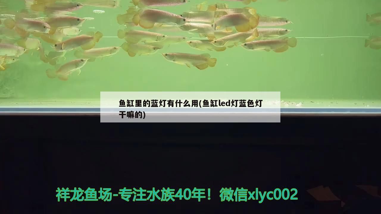 長春清洗魚缸師傅電話號碼多少啊(長春清洗魚缸師傅電話號碼多少啊多少錢)