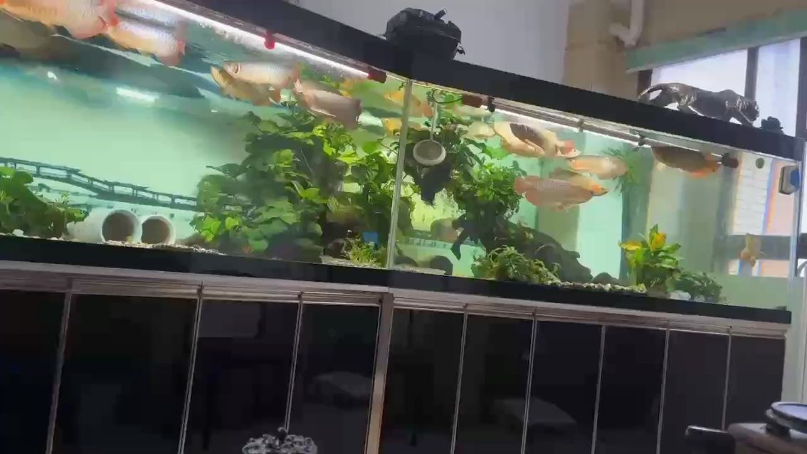 情人節沒情人！