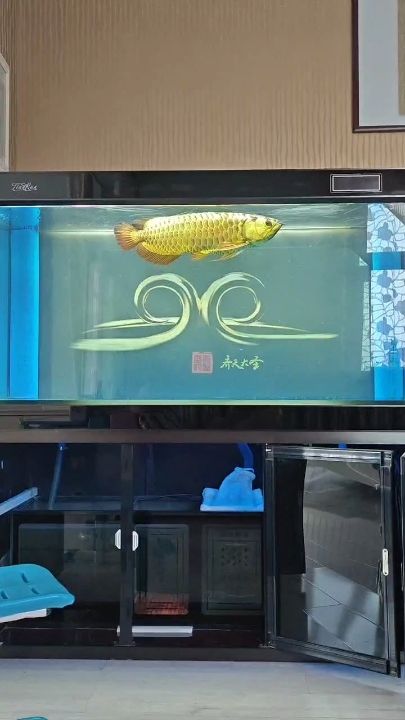 蛇年如魚得水 蛇年如魚得水 龍魚論壇 第1張