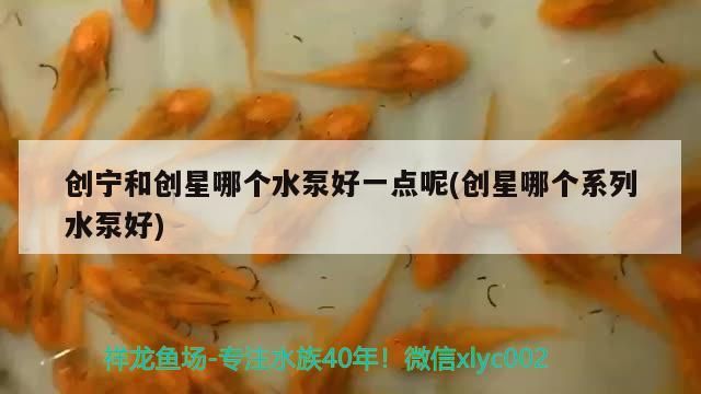 創寧和創星哪個水泵好一點呢(創星哪個系列水泵好) 創寧和創星哪個水泵好一點呢(創星哪個系列水泵好) 創寧水族