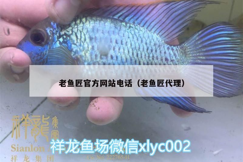 老魚匠官方網站電話（老魚匠代理）