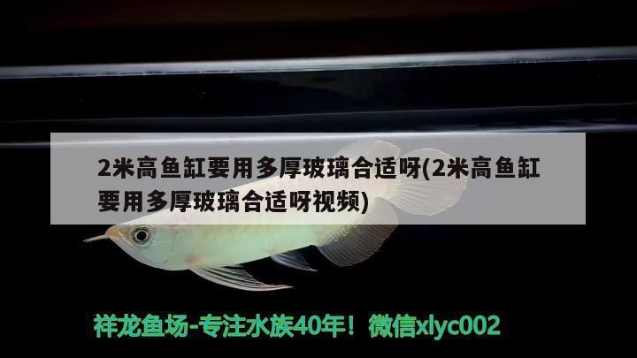 2米高魚缸要用多厚玻璃合適呀(2米高魚缸要用多厚玻璃合適呀視頻)