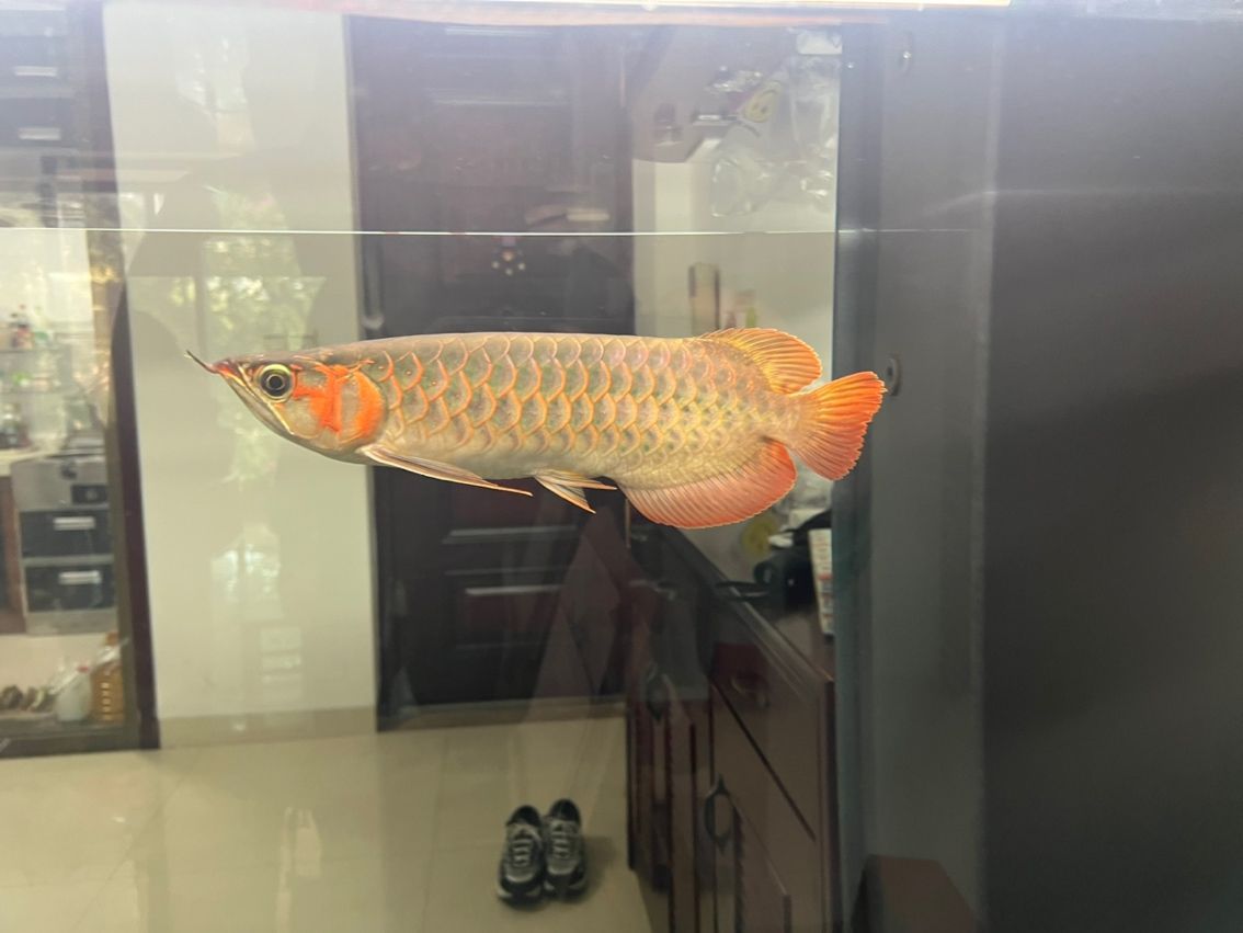 開始換水