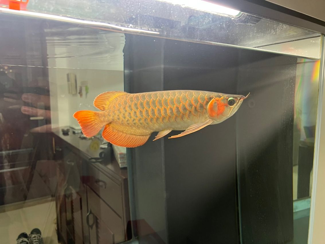 開始換水