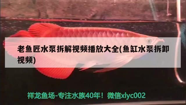 老魚匠水泵拆解視頻播放大全(魚缸水泵拆卸視頻)