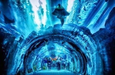 世界著名水族館（世界著名水族館介紹）