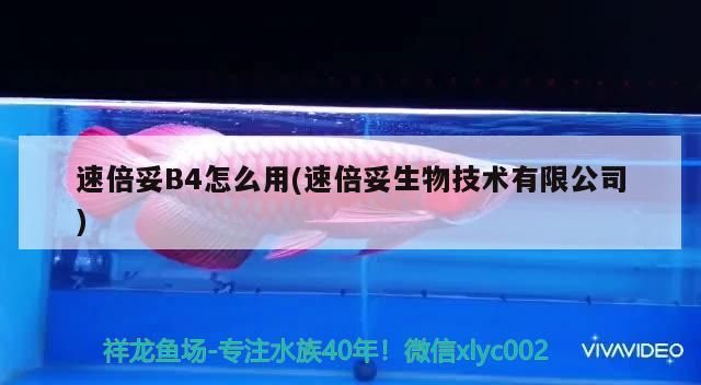 魚缸過濾器選購指南:自制魚缸過濾器魚缸上置過濾器對于養魚愛好者的必備知識 速倍妥B4怎么用(速倍妥生物技術有限公司) 速倍妥 速倍妥B4怎么用(速倍妥生物技術有限公司) 速倍妥B4怎么用(速倍妥生物技術有限公司) 速倍妥